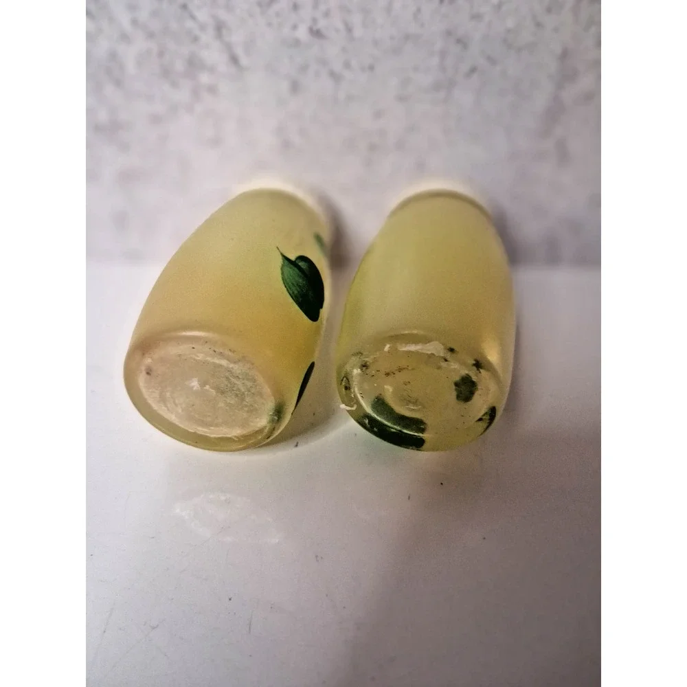Glass Salt and Pepper Shakers,Bartlett Collins, Hand-Painted FloralDesign